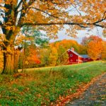 A Luxurious Thanksgiving in Camden Camden Harbour Inn, sustainable dining, farm