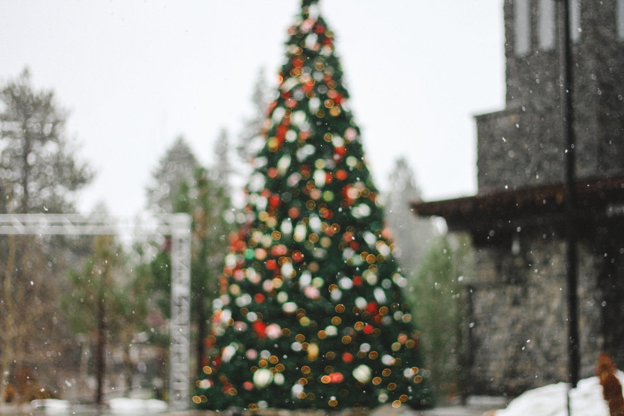 Christmas tree in New England Town