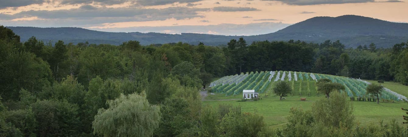 cellardoor winery